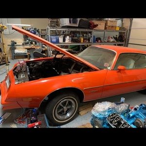 Meet your Posher, Cameron